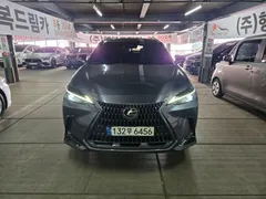 2024 Lexus NX Premium, серый — фото 11