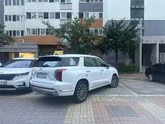 2024 Hyundai Palisade Diesel 2.2 4WD — фото 2
