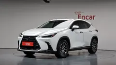 2022 Lexus NX Premium, белый — фото 1