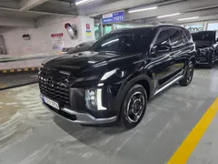 2023 Hyundai Palisade Diesel 2.2 2WD — фото 13