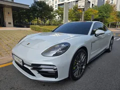 2023 Porsche Panamera 2.9 AWD E-Hybrid Platinum Edition — фото 2