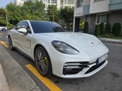 2023 Porsche Panamera 2.9 AWD E-Hybrid Platinum Edition — фото 14
