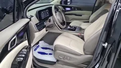 2023 Kia Carnival Diesel 9-Seater Hi-Limousine — фото 10