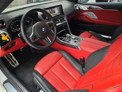 2024 BMW 8-Series M850i xDrive Coupe — фото 13
