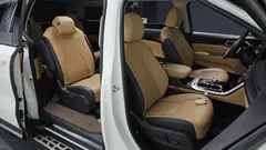 2023 Kia Carnival Diesel 9-Seater Signature — фото 11