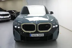 2023 BMW XM 4.4 — фото 12