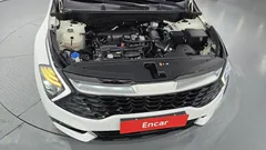2024 Kia Sportage Gasoline 1.6 Turbo 2WD — фото 6