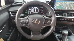 2024 Lexus UX 2.0 2WD — фото 13