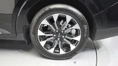 2023 Kia Carnival Gasoline 9-Seater Signature — фото 5