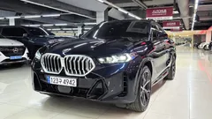 2024 BMW X6 xDrive30d M Sport — фото 11