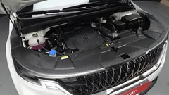 2023 Kia Carnival Gasoline 7-Seater Signature — фото 6