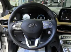 2023 Hyundai Santa Fe HEV 1.6 4WD — фото 8