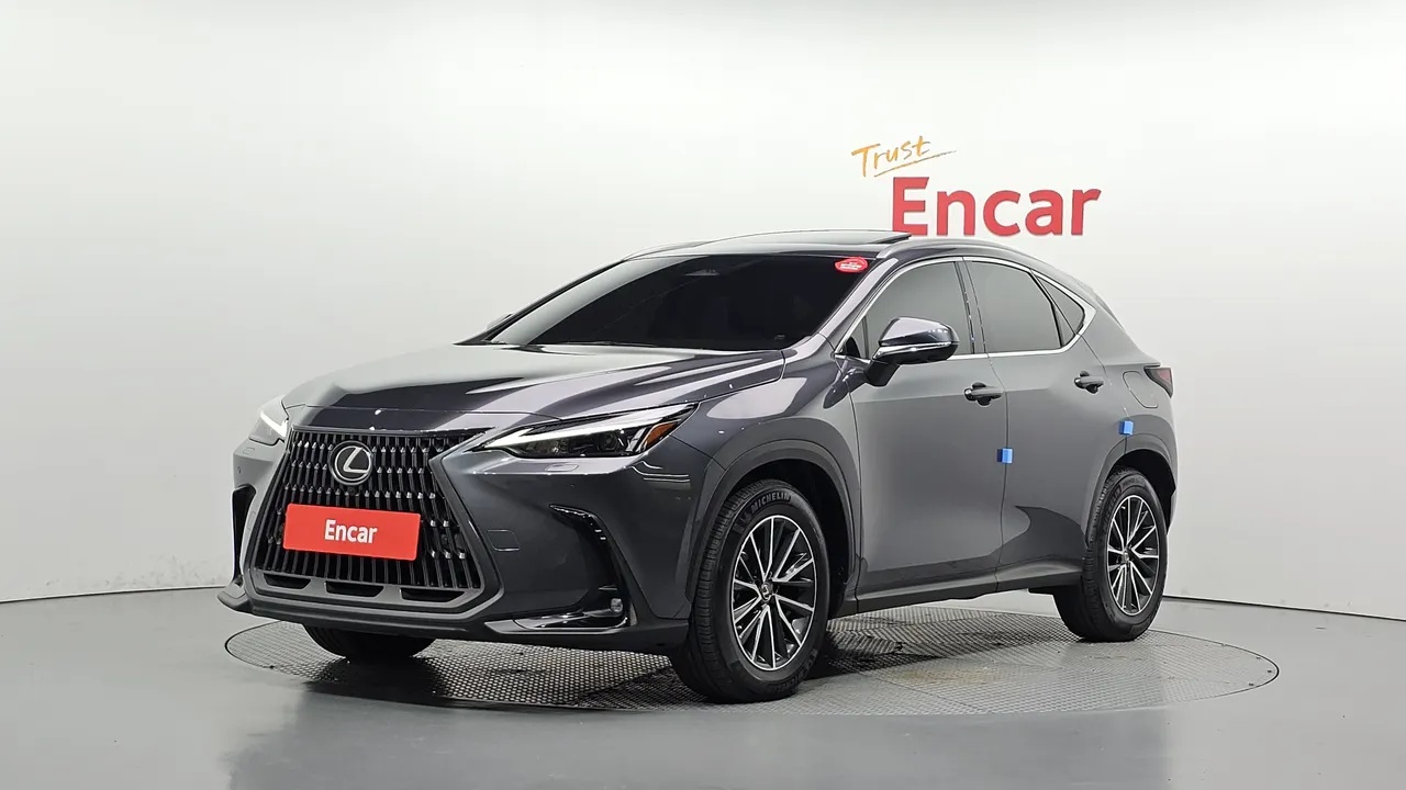 2022 Lexus NX Premium