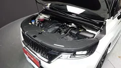 2023 Kia Carnival Gasoline 7-Seater Signature — фото 6