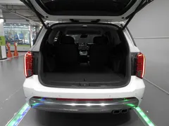 2023 Hyundai Palisade Diesel 2.2 2WD — фото 20