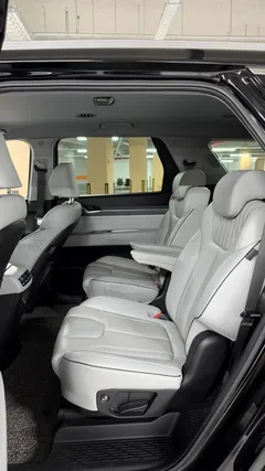 2024 Hyundai Palisade Diesel 2.2 2WD — фото 15