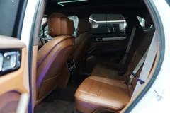 2023 Porsche Cayenne 3.0 E-HYBRID PLATINUM EDITION — фото 15