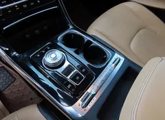 2023 Kia Carnival Diesel 9-Seater Signature — фото 15
