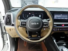 2024 Kia Sorento HEV 1.6 2WD — фото 7