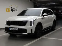 2024 Kia Sorento HEV 1.6 2WD — фото 12