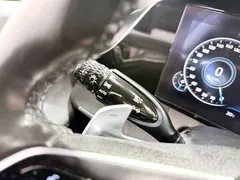 2023 Hyundai Grandeur 3.0 LPi (Taxi) — фото 14