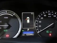 2021 Lexus RX Luxury Plus, серо-серебристый — фото 9