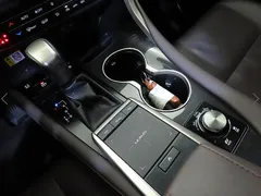 2021 Lexus RX Luxury Plus, серо-серебристый — фото 16