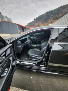 2022 Mercedes-Benz CLS-Class CLS300d 4MATIC — фото 17