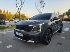 2024 Kia Sorento Diesel 2.2 4WD — фото 11