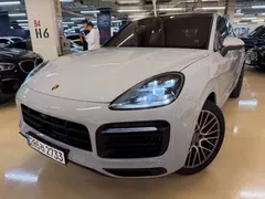 2023 Porsche Cayenne 3.0 COUPE PLATINUM EDITION — фото 12