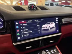 2023 Porsche Cayenne 3.0 COUPE PLATINUM EDITION — фото 16