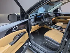 2023 Kia Carnival Gasoline 9-Seater Signature — фото 10
