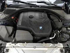 2022 BMW 3-Series 320i Luxury — фото 6