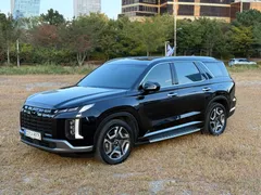2024 Hyundai Palisade Diesel 2.2 2WD — фото 19