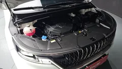 2023 Kia Carnival Diesel 9-Seater Noblesse — фото 6