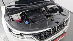 2023 Kia Carnival Diesel 9-Seater Prestige — фото 6