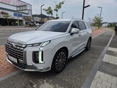 2023 Hyundai Palisade Diesel 2.2 2WD — фото 16