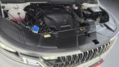 2023 Kia Carnival Gasoline 9-Seater Signature — фото 6