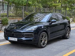 2023 Porsche Cayenne 3.0 E-HYBRID PLATINUM EDITION — фото 11
