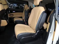 2023 Kia Carnival Gasoline 9-Seater Signature — фото 7