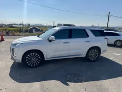 2023 Hyundai Palisade Diesel 2.2 4WD — фото 17