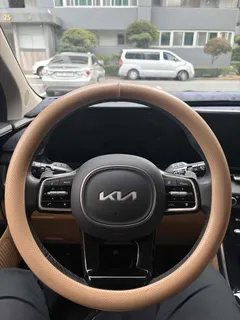 2023 Kia Carnival Diesel 9-Seater Signature — фото 8