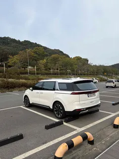 2023 Kia Carnival Diesel 9-Seater Signature — фото 13