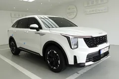 2024 Kia Sorento Diesel 2.2 4WD — фото 8