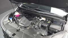 2023 Kia Carnival Gasoline 9-Seater Signature — фото 6