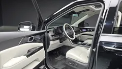2023 Kia Carnival Gasoline 9-Seater Signature — фото 10