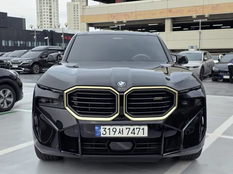 2023 BMW XM 4.4