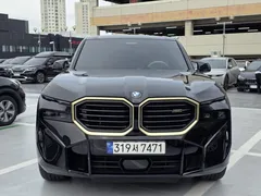 2023 BMW XM 4.4 — фото 11