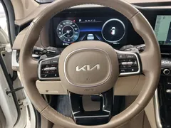 2023 Kia Carnival Gasoline 7-Seater Hi-Limousine — фото 16