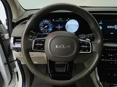 2023 Kia Carnival Gasoline 7-Seater Hi-Limousine — фото 16